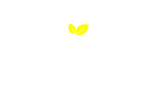 Bliss Organic Ltd 